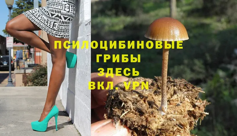 Галлюциногенные грибы Psilocybine cubensis  kraken   Разумное 